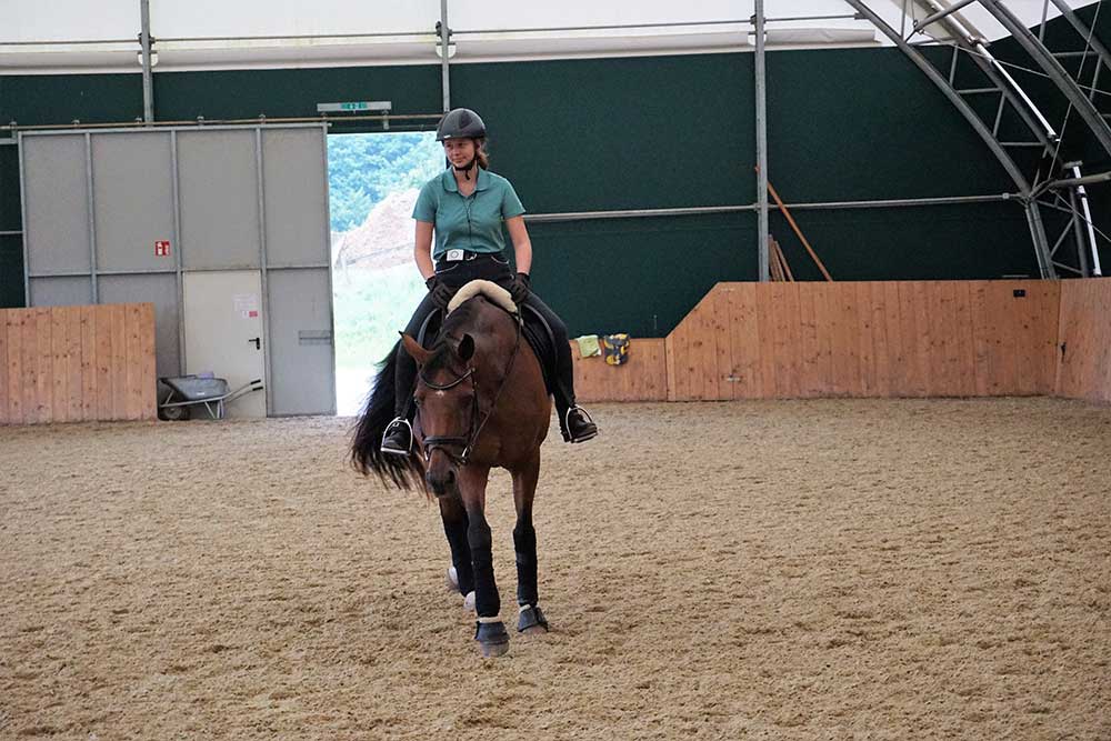 Turnierunterricht – Reiter mit eigenen Pferden 