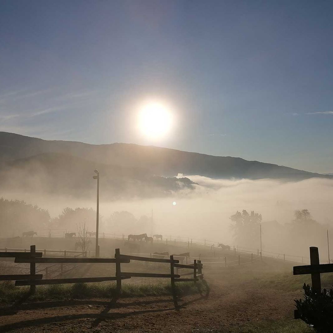 Sonnenaufgang am Gratzihof
