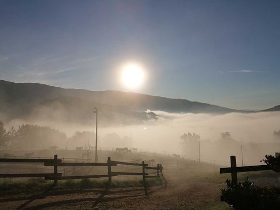 Sonnenaufgang am Gratzihof