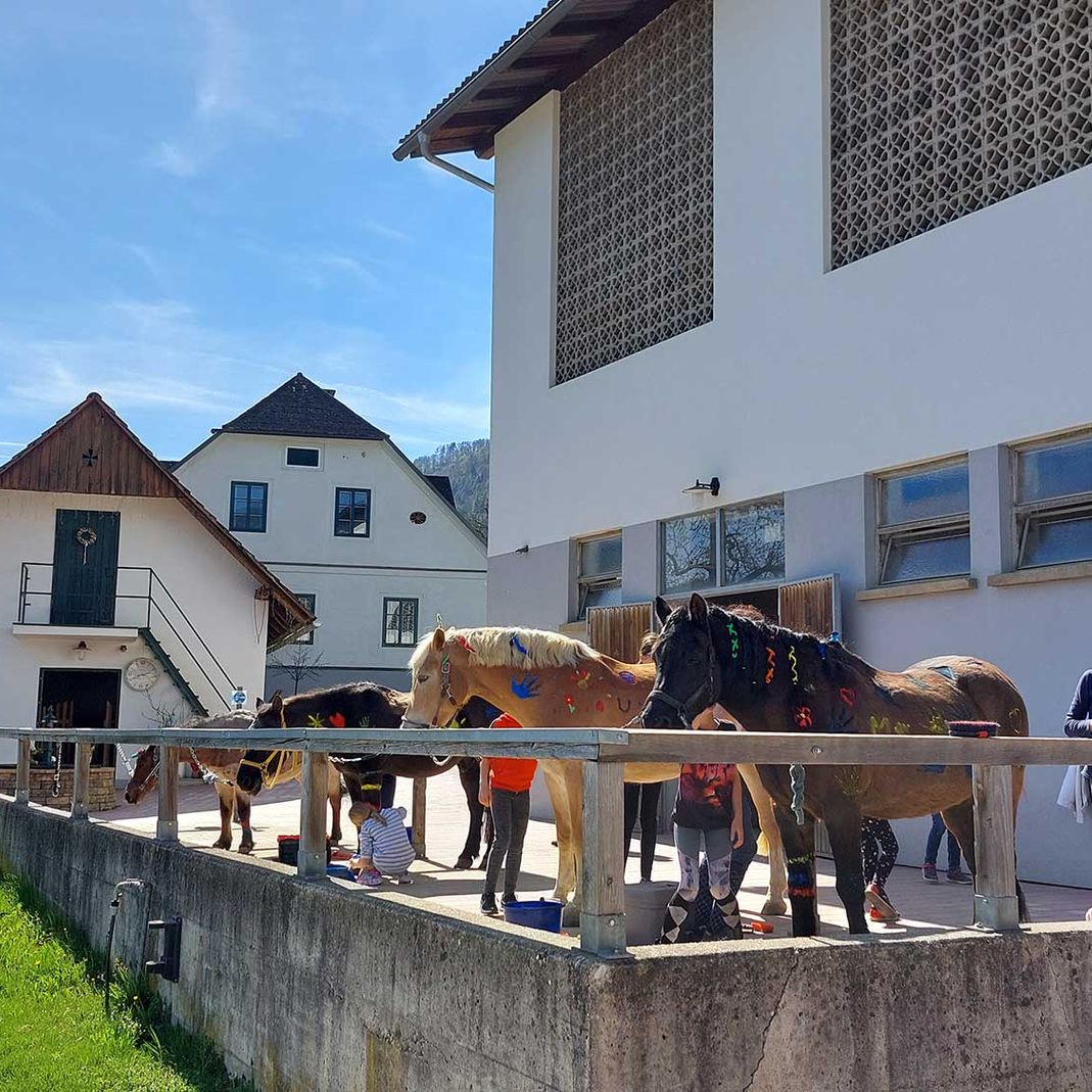 Impressionen vom Gratizhof