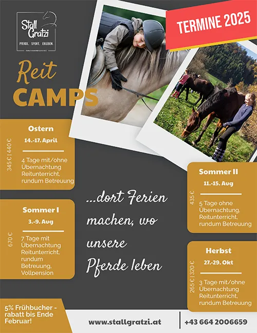 Termine 2025 Flyer